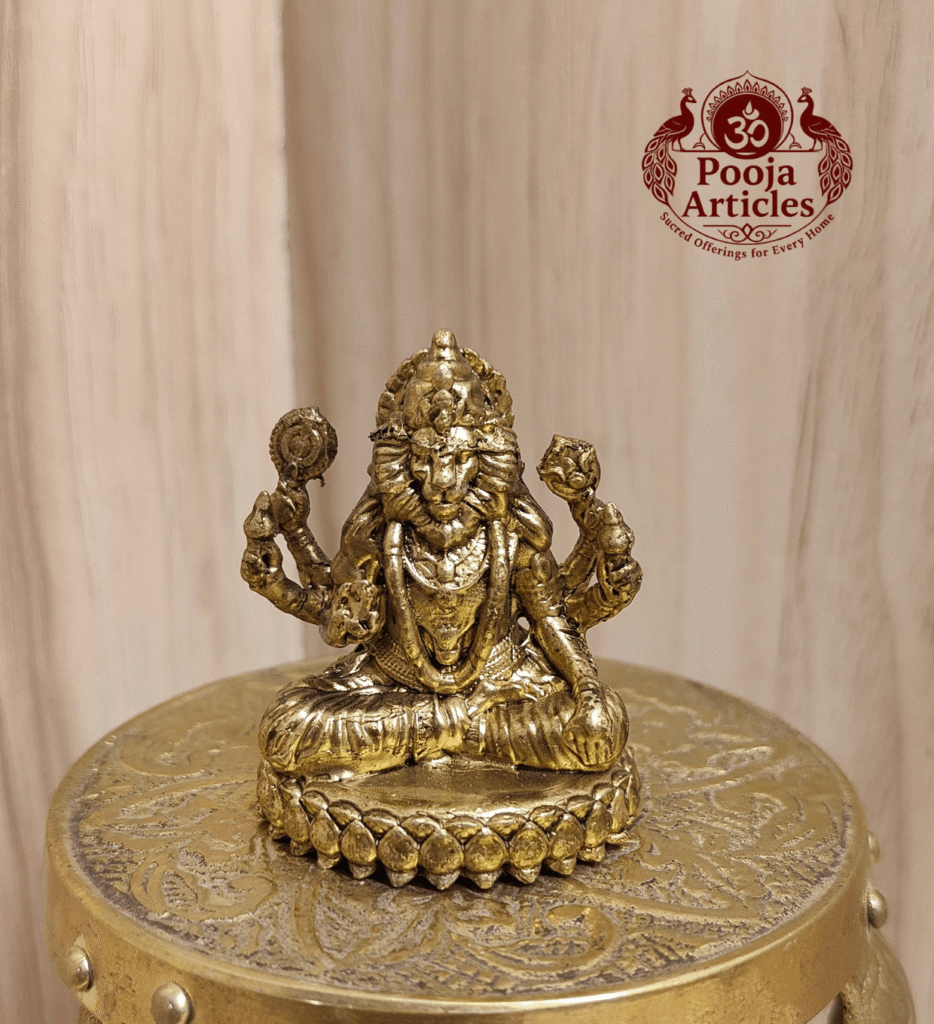 Buy Premium Brass Narasimha Statue 60 g, 1.7" – Mini Narasimha Idol for Power & Prosperity